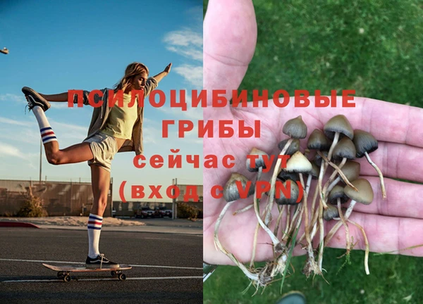 метадон Горнозаводск
