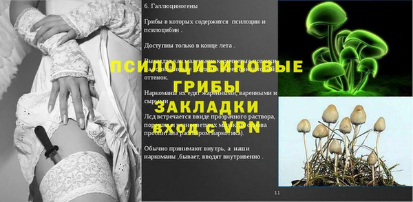 метадон Горнозаводск