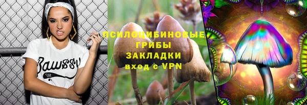 прущий лед Горняк