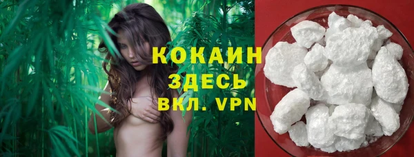 прущий лед Горняк